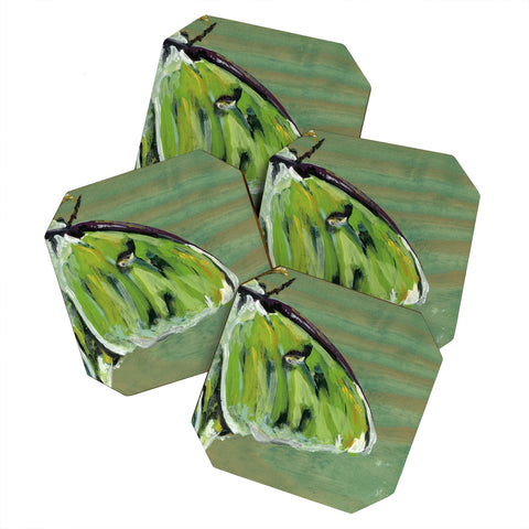 Land Of Lulu Luna Moth Coaster Set