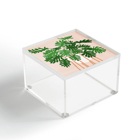 Lane and Lucia Vase no 26 with Tropical Plant Acrylic Box