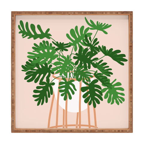 Lane and Lucia Vase no 26 with Tropical Plant Square Tray