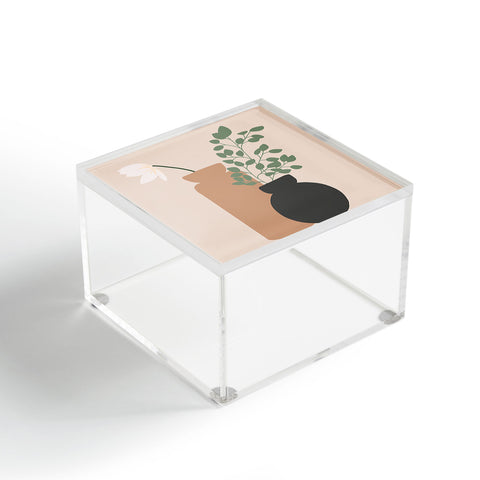 Lane and Lucia Vase no 3 with Eucalyptus and Acrylic Box