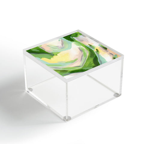 Laura Fedorowicz Margarita Valley Acrylic Box