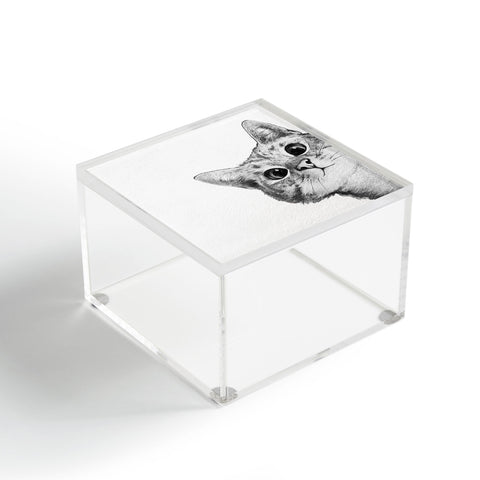 Laura Graves Sneaky Cat Acrylic Box
