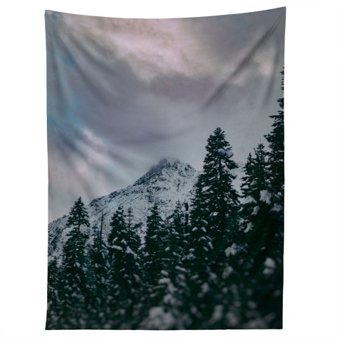 Leah Flores North Cascade Winter Tapestry