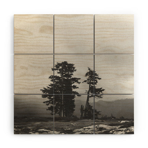 Leah Flores Pacific Northwest Wood Wall Mural