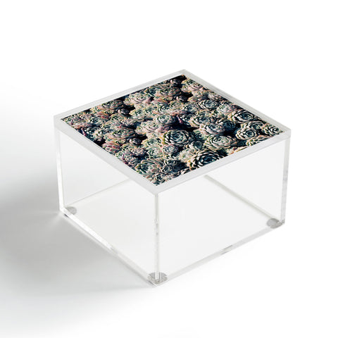 Leah Flores Succulent Love Acrylic Box
