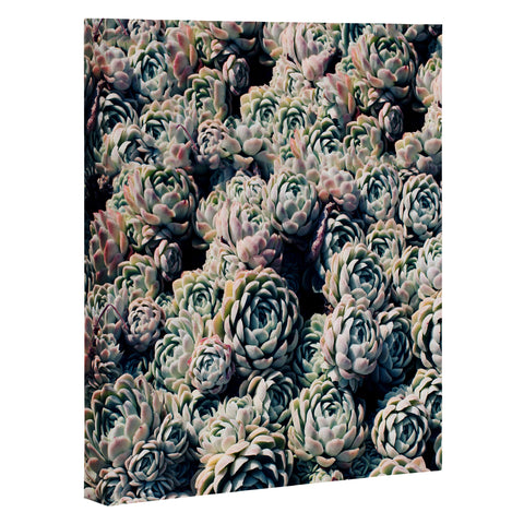 Leah Flores Succulent Love Art Canvas