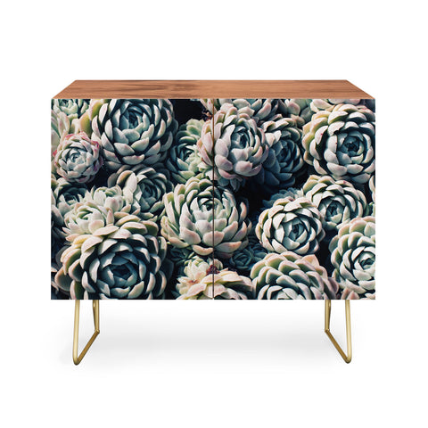 Leah Flores Succulent Love Credenza