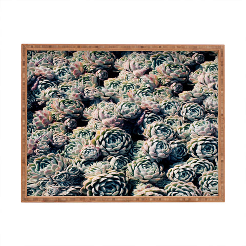 Leah Flores Succulent Love Rectangular Tray