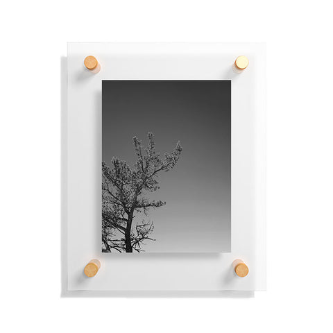 Leah Flores Tree Floating Acrylic Print