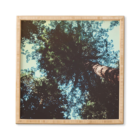 Leah Flores Treetops Framed Wall Art