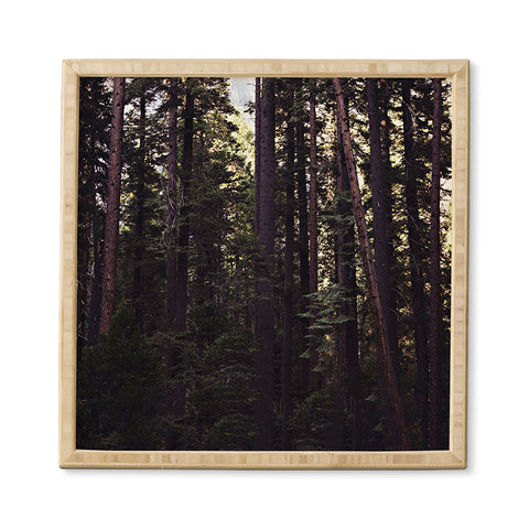 Leah Flores Woods Framed Wall Art