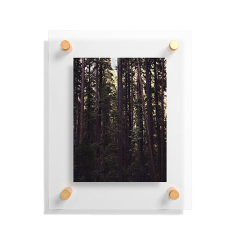 Leah Flores Woods Floating Acrylic Print