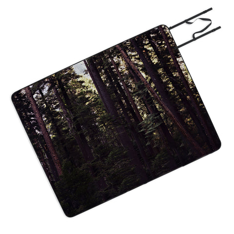 Leah Flores Woods Picnic Blanket