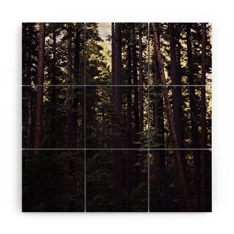 Leah Flores Woods Wood Wall Mural