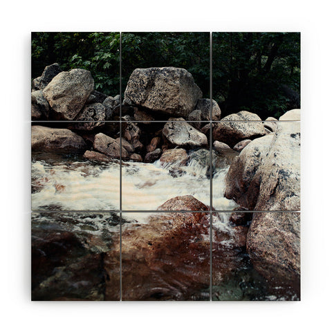 Leah Flores Yosemite Creek Wood Wall Mural