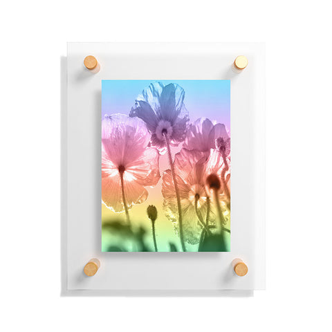 Lisa Argyropoulos A Magical Morning Floating Acrylic Print