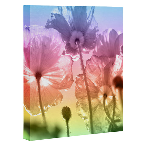 Lisa Argyropoulos A Magical Morning Art Canvas