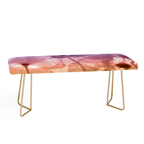 Lisa Argyropoulos A Magical Morning Bench