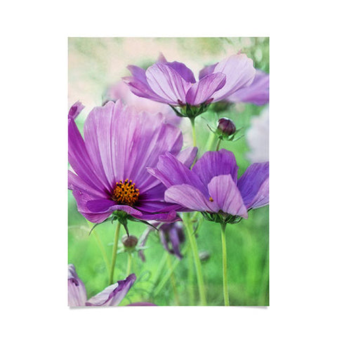 Lisa Argyropoulos Among The Cosmos Poster