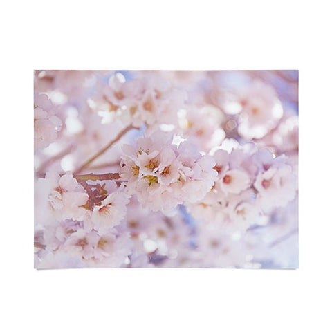 Lisa Argyropoulos Anew Poster