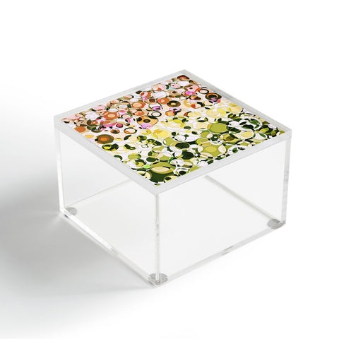 Lisa Argyropoulos Aria Acrylic Box