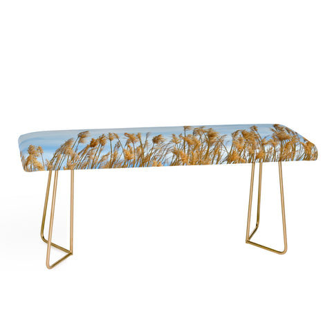 Lisa Argyropoulos Autumn Gold Bench