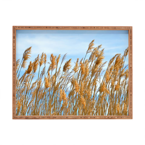 Lisa Argyropoulos Autumn Gold Rectangular Tray