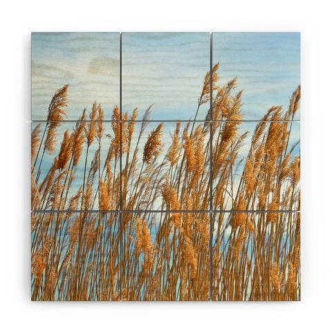 Lisa Argyropoulos Autumn Gold Wood Wall Mural