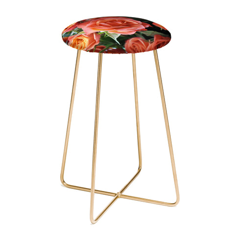 Lisa Argyropoulos Autumn Rose Counter Stool