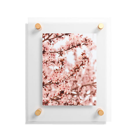 Lisa Argyropoulos Blissfully Pink Floating Acrylic Print