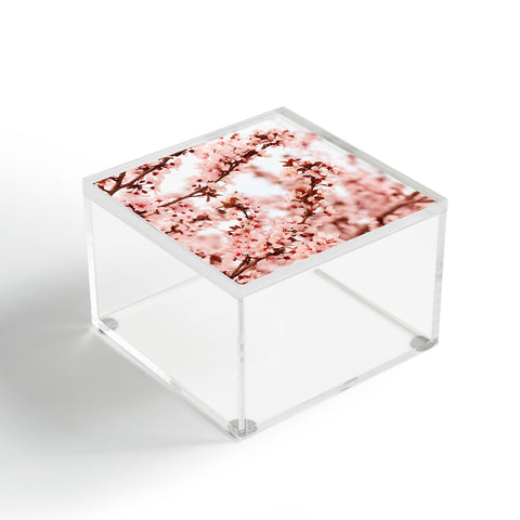 Lisa Argyropoulos Blissfully Pink Acrylic Box