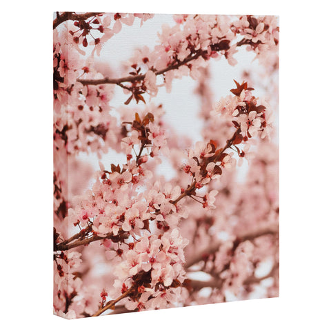 Lisa Argyropoulos Blissfully Pink Art Canvas