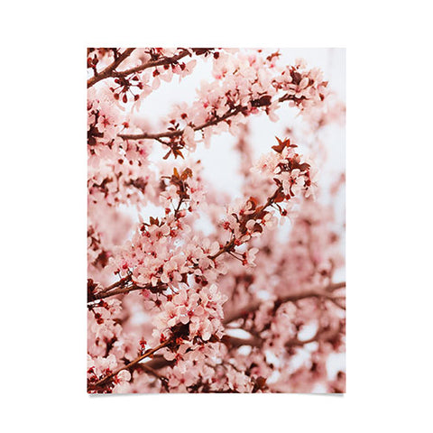 Lisa Argyropoulos Blissfully Pink Poster