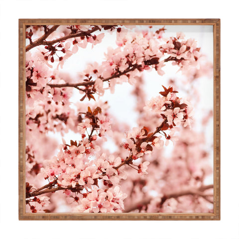 Lisa Argyropoulos Blissfully Pink Square Tray