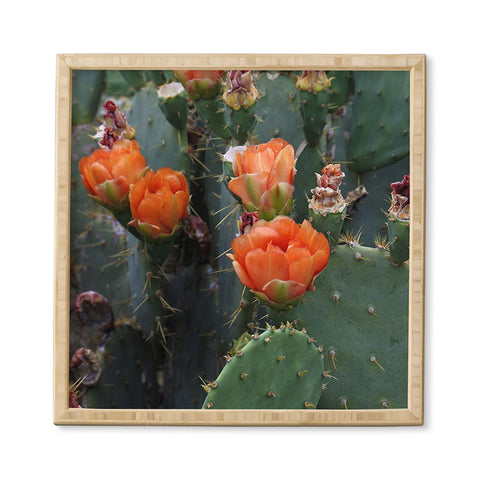 Lisa Argyropoulos Blooming Prickly Pear Framed Wall Art