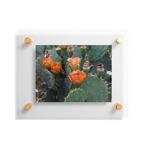 Lisa Argyropoulos Blooming Prickly Pear Floating Acrylic Print