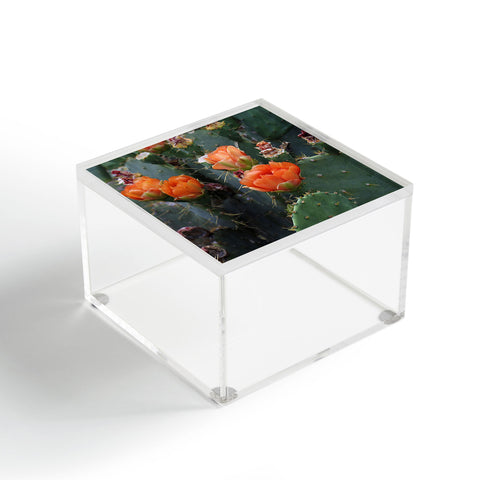 Lisa Argyropoulos Blooming Prickly Pear Acrylic Box