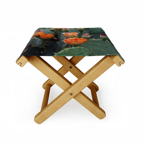Lisa Argyropoulos Blooming Prickly Pear Folding Stool