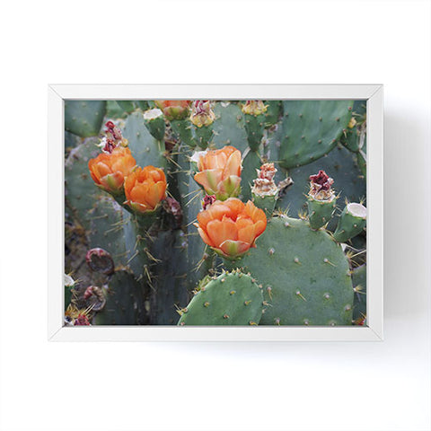 Lisa Argyropoulos Blooming Prickly Pear Framed Mini Art Print