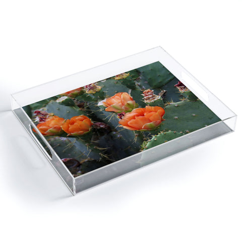 Lisa Argyropoulos Blooming Prickly Pear Acrylic Tray
