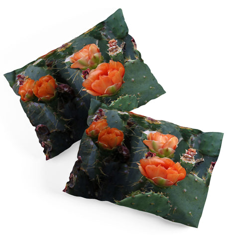 Lisa Argyropoulos Blooming Prickly Pear Pillow Shams