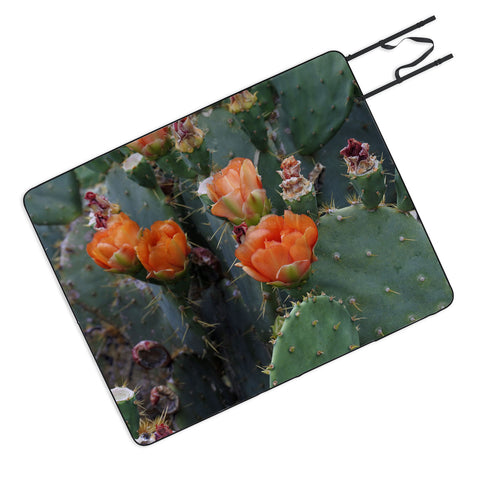 Lisa Argyropoulos Blooming Prickly Pear Picnic Blanket