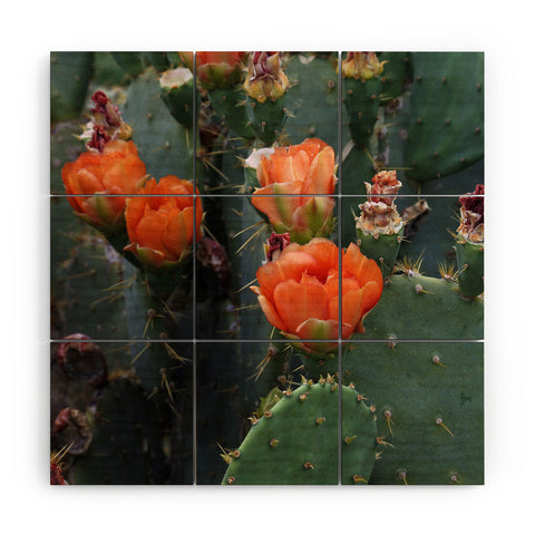 Lisa Argyropoulos Blooming Prickly Pear Wood Wall Mural