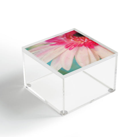 Lisa Argyropoulos Blushing Moment Acrylic Box