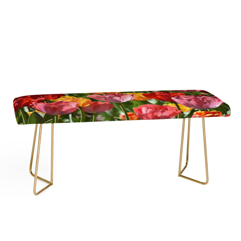 Lisa Argyropoulos Brilliant Spring Bench