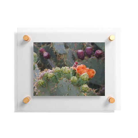 Lisa Argyropoulos Budding Prickly Pear Floating Acrylic Print