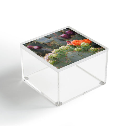 Lisa Argyropoulos Budding Prickly Pear Acrylic Box