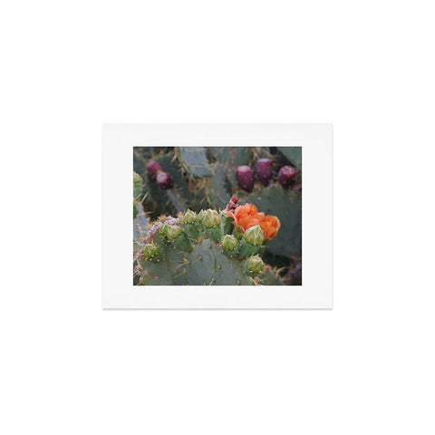 Lisa Argyropoulos Budding Prickly Pear Art Print