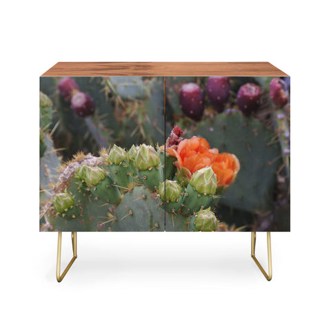 Lisa Argyropoulos Budding Prickly Pear Credenza