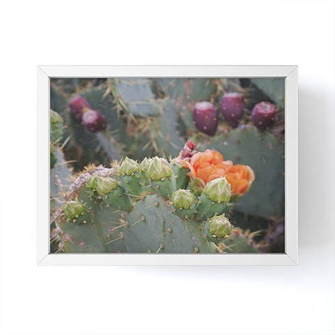 Lisa Argyropoulos Budding Prickly Pear Framed Mini Art Print